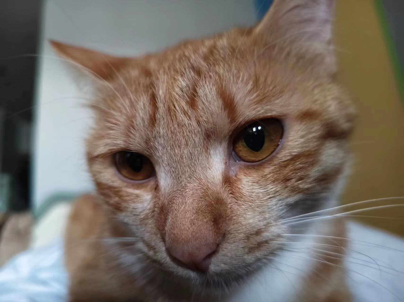 爱游戏-Q?.,猫?烇?€.p?籦:稅?的简单介绍-爱游戏